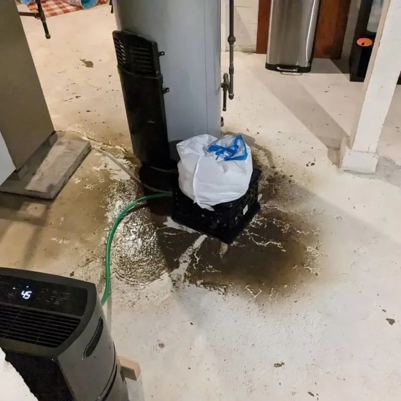 Sewage Backup Cleanup Service in Imperial, NE